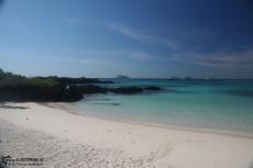 Beach - Galapagos 2010 -IMG 7761